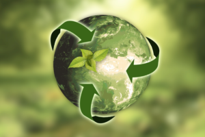 procurement sustainability